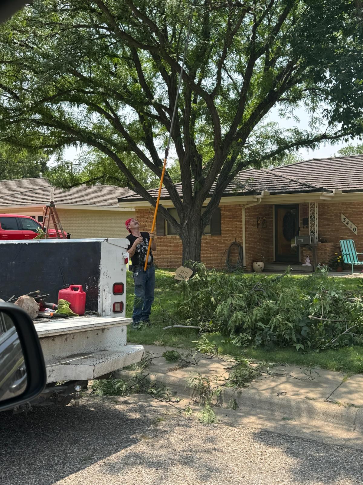 Worker using a pole saw for tree trimming