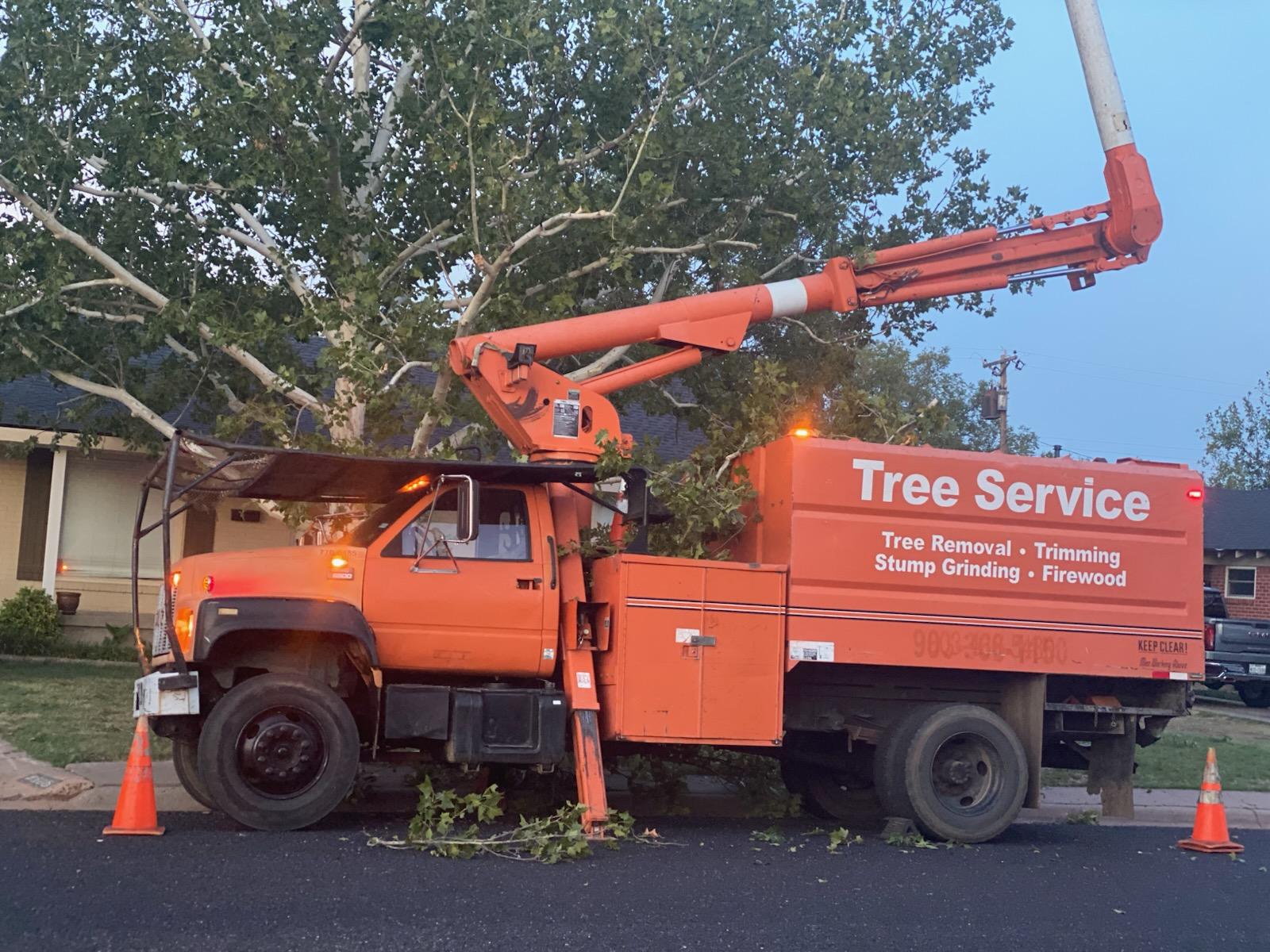 Large orange tree service bucket truck