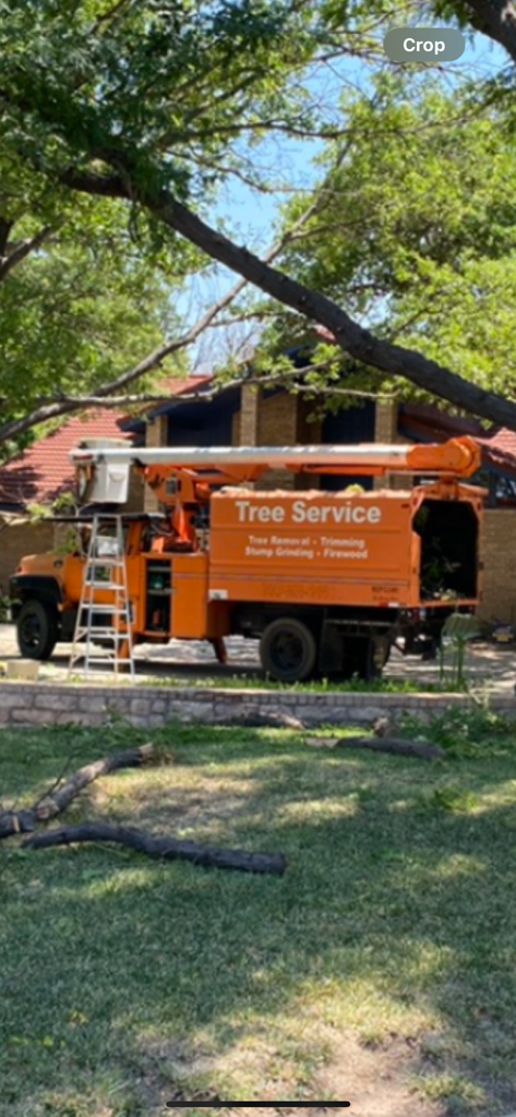 Tree service truck parked at a residential job